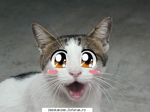 Salutare! - ^_^Akira^_* - Welcome
